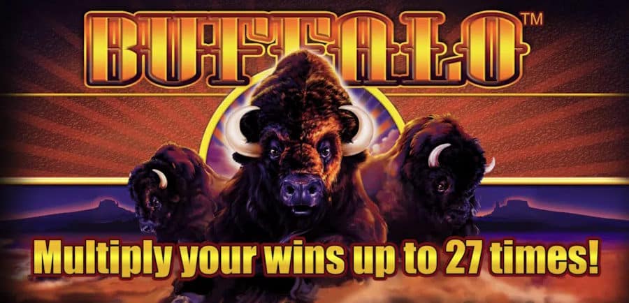buffalo slot